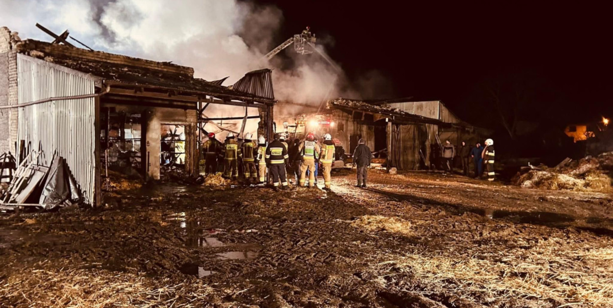 Zwierzęta były uwięzione, nie wszystkie przeżyły. Smutny bilans pożaru