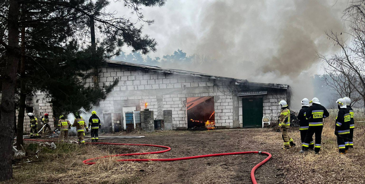 Duża akcja gaśnicza pod Dolskiem. Pomagali strażacy z naszego powiatu...