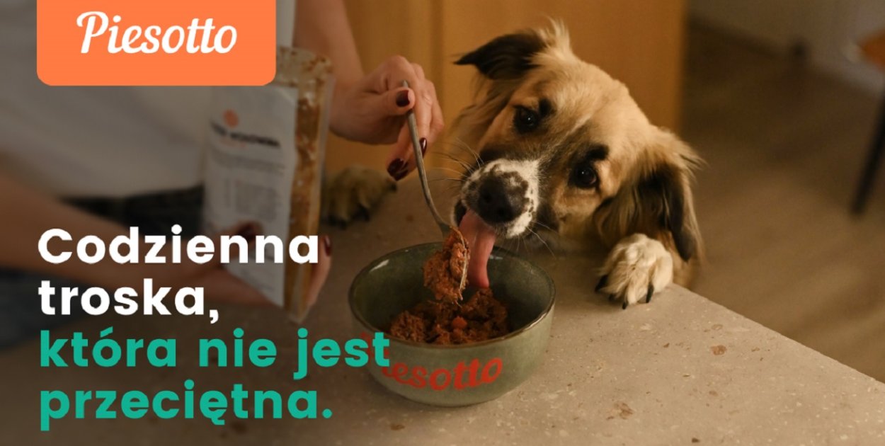 Zbilansowana dieta psa w praktyce – analiza modelu żywieniowego Piesotto