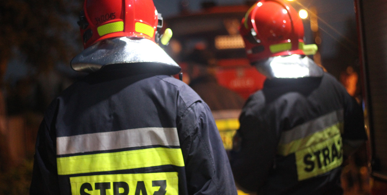 W środku nocy, chodnikiem spacerowała krowa. Gdy ją zobaczył od razu zadzwonił...