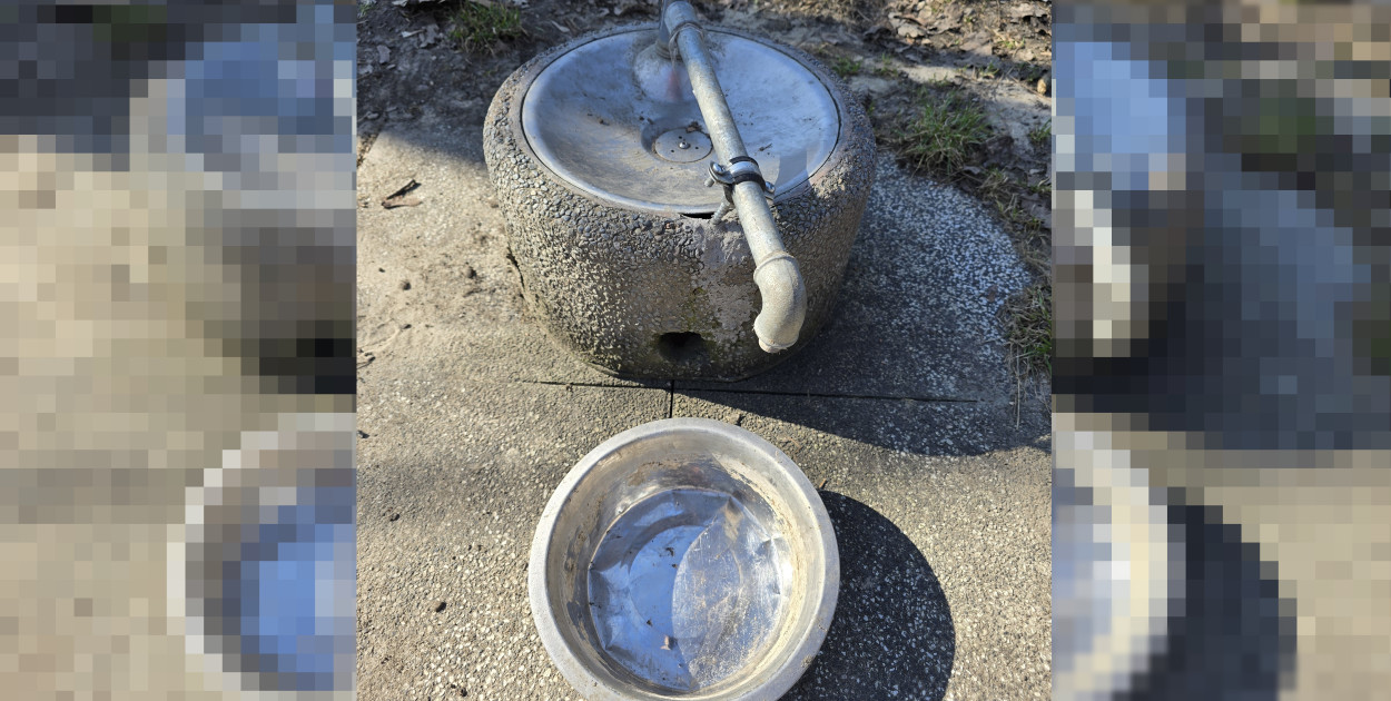 Zauważył problem i zgłosił, gdzie trzeba. Na brak reakcji odpowiedział drobną...