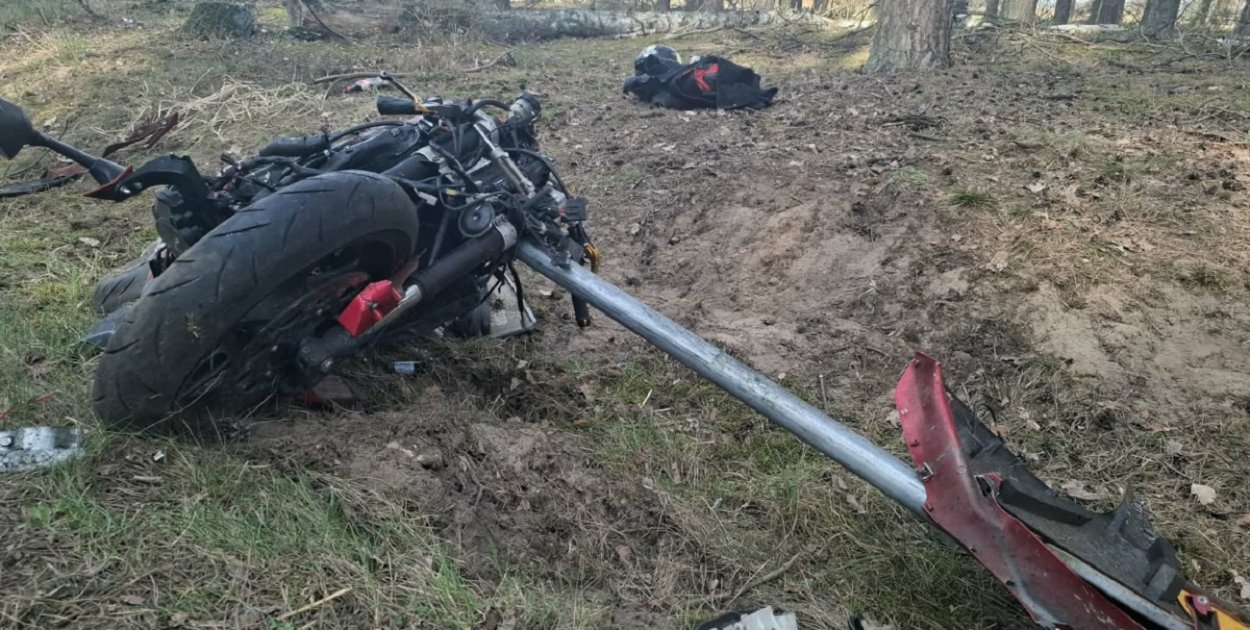 Wjechał motocyklem w stado przebiegających saren. Trafił do szpitala.