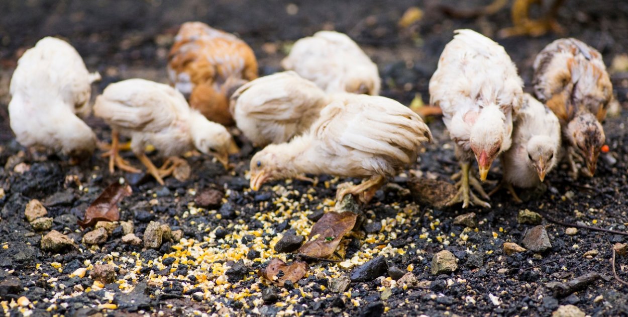 Te gminy uznano za zagrożone! Od teraz obowiązują tam restrykcyjne przepisy