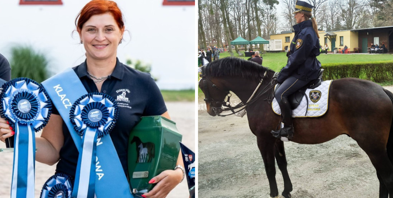 Hodują konie do zadań specjalnych. Jeden z nich już patroluje miasto