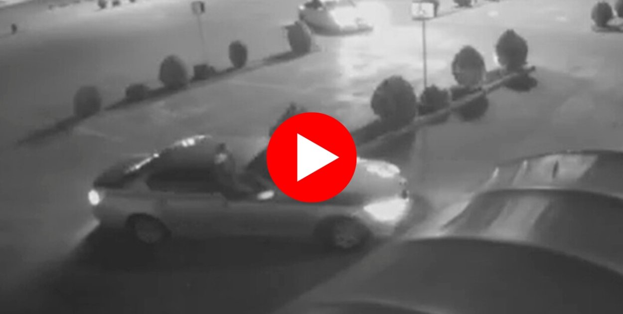 Najpierw się bawili, potem zapłacili. Grupa nastolatków szalała...