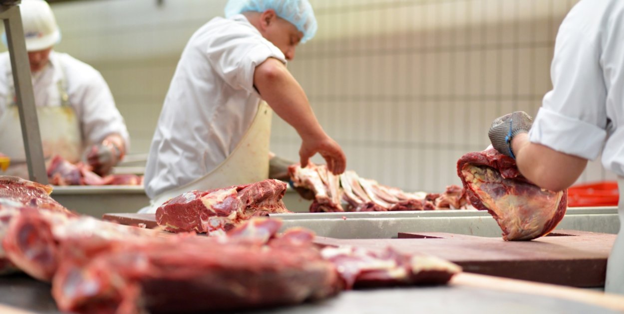 Napięcie wokół zakładów produkujących dla DINO. Związkowcy chcą to ujawnić