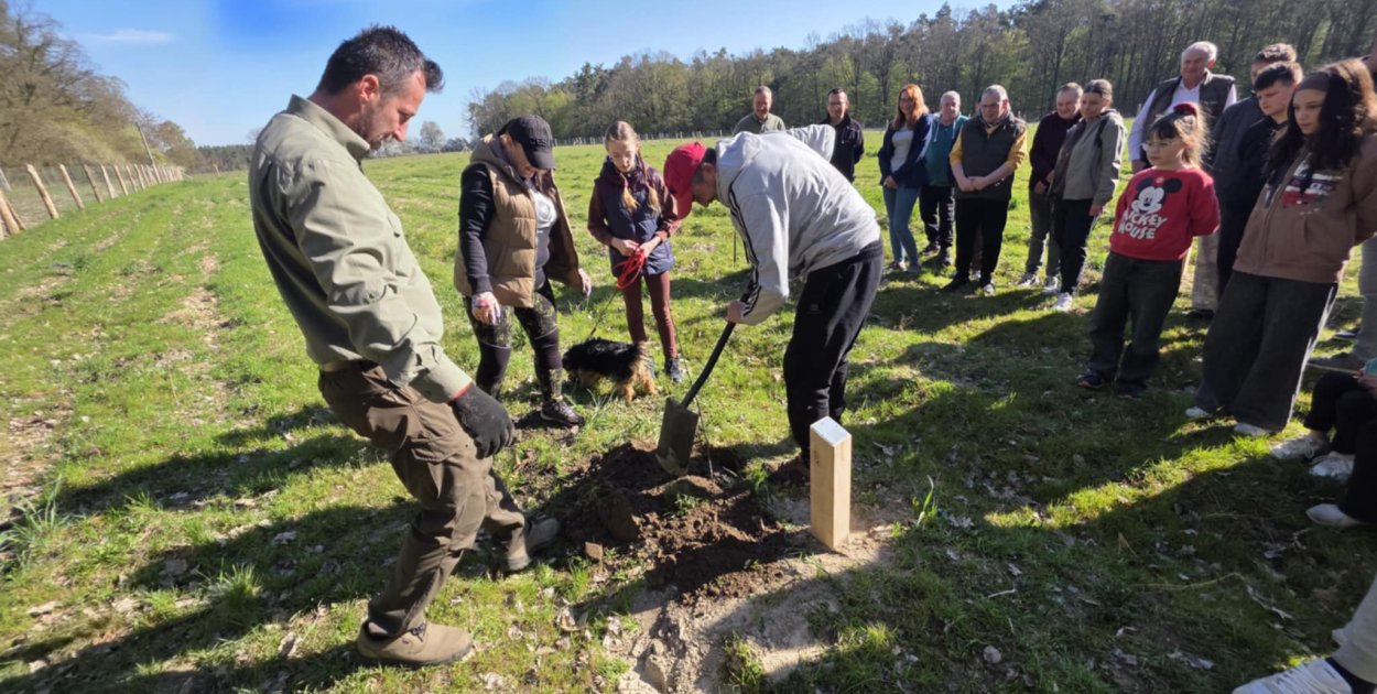 Każdy mógł zostawić ślad na setki lat. Tu wspomnienia zapuszczają korzenie