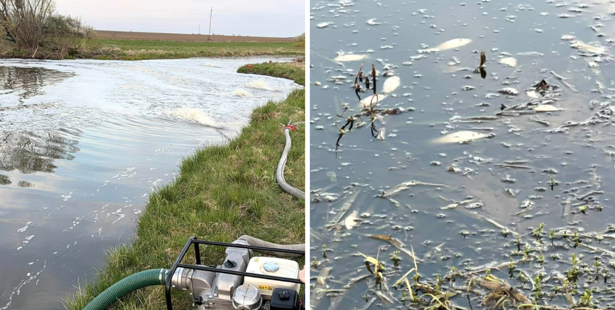 Skażenie pod Piaskami? Woda zmieniła kolor, potem zaczęły wypływać ryby