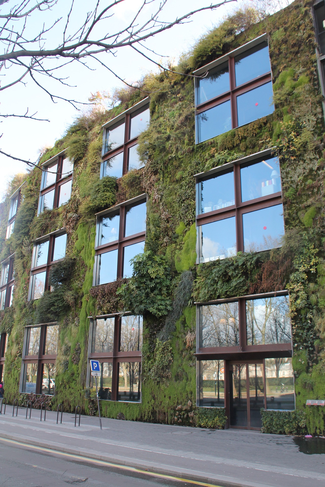 Zielone ogrody to przyszłość aranżowania miejskiej przestrzeni.
